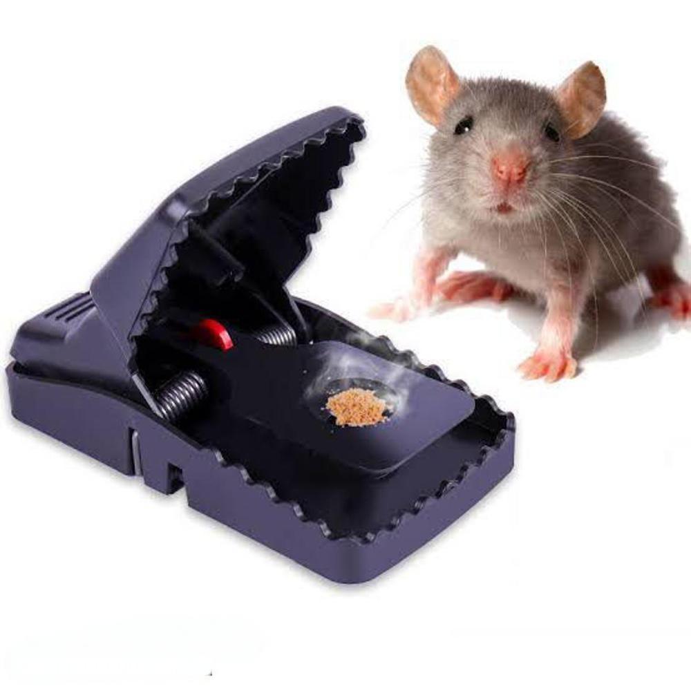 Mouse Trap